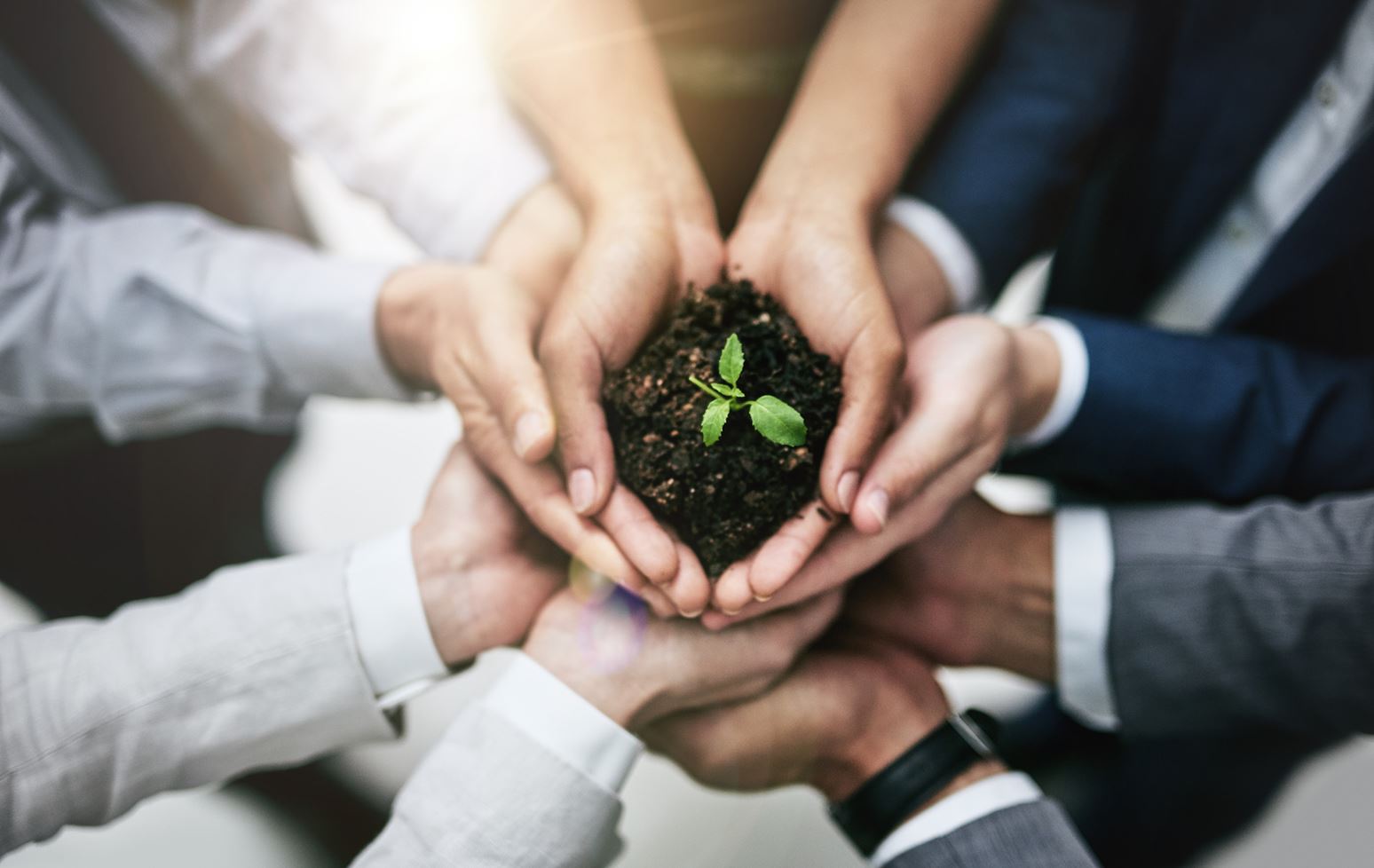 A group of hands holding some dirt with a plant growing out of it