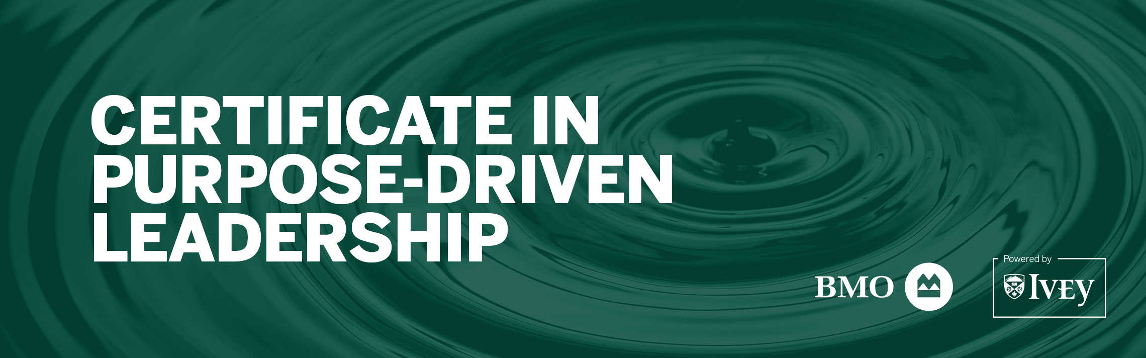 Text "Western Leadership Certificate in character and purpose-driven leadership" on top of ripples of water in concentric circles