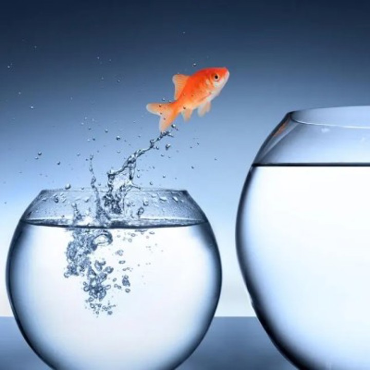 From Good To Great: 10 Ways To Elevate Your Character Quotient