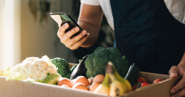Nicole Harvey: How an Ivey alumni is changing the food waste landscape in Canada