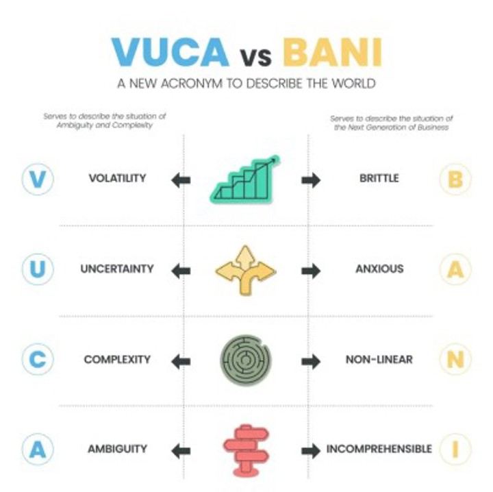 Strategic Resilience And Agility: 4 Essentials To Thrive In A BANI World